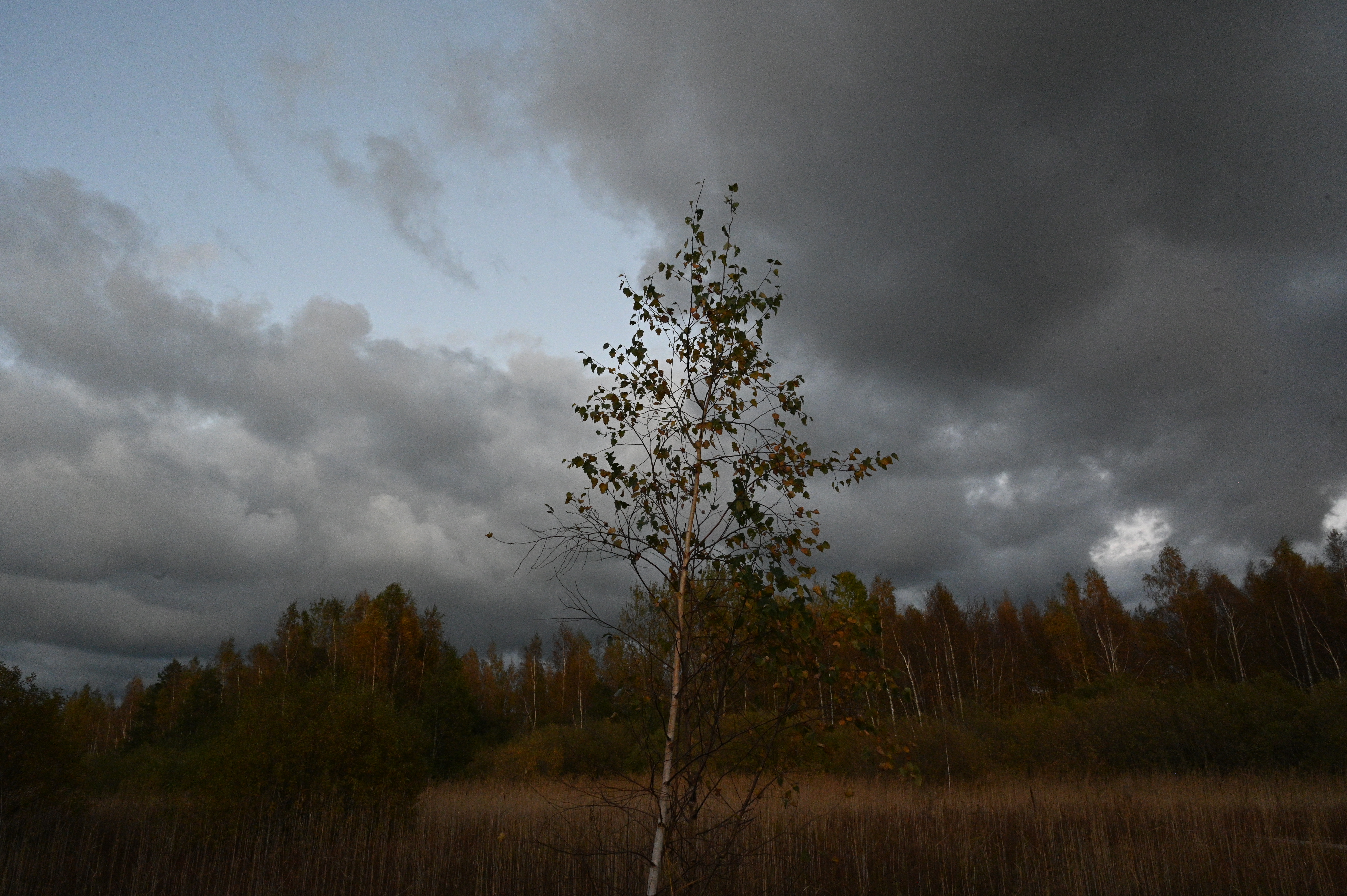 2025/10/18 - walk/DSC_0533.JPG